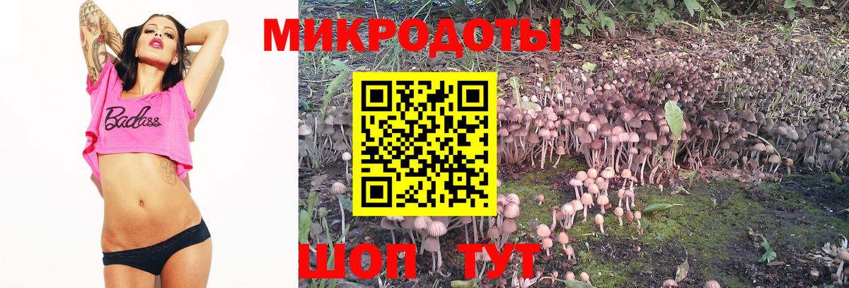 Галлюциногенные грибы MAGIC MUSHROOMS  Галлюциногенные грибы Psilocybine cubensis  Вход с VPN  Ливны 